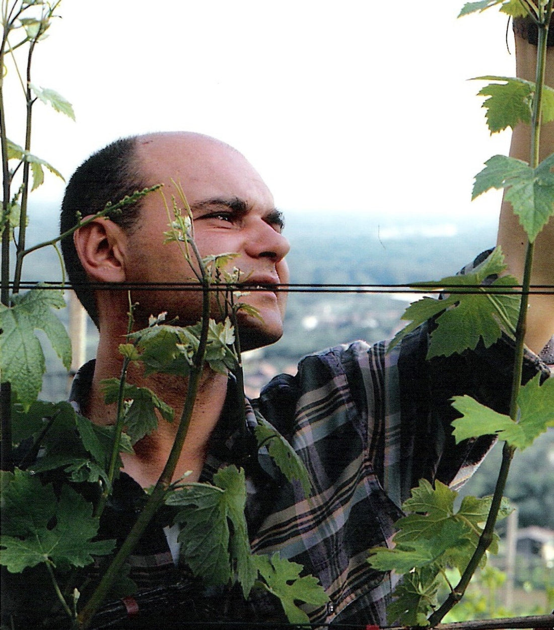 Een Slow Tasting van de Osso San Grato
