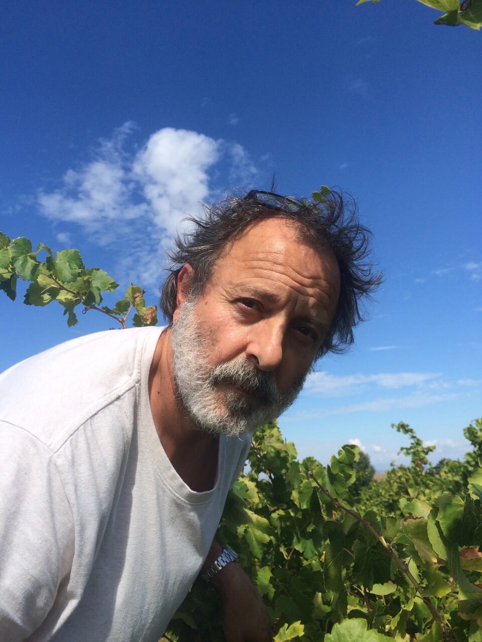 Jean- Paul Daumen grote winnaar perswijn wijnconcours