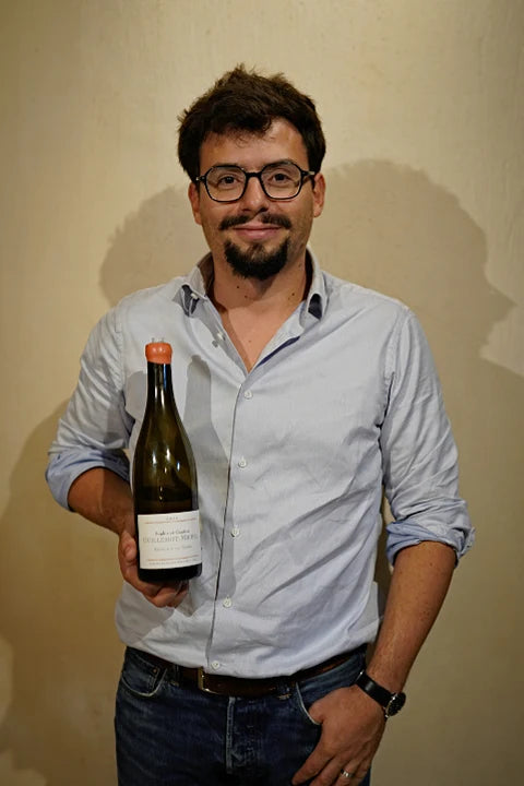 Domaine Guillemot-Michel