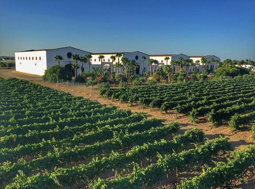 Bodegas Barón