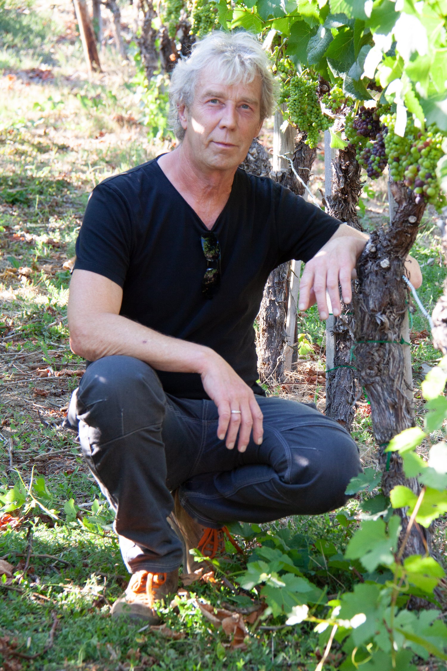 Weingut Paul Schumacher