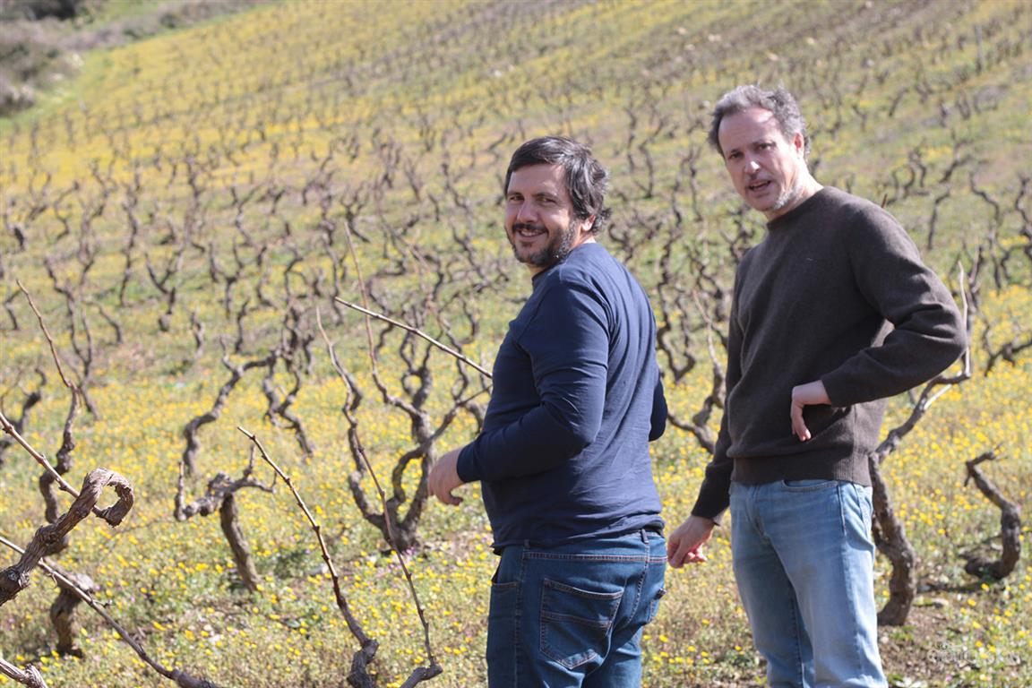 CoZs - Antonio Marques da Cruz & Tiago Teles