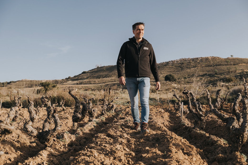 Bodega Gómez Cruzado