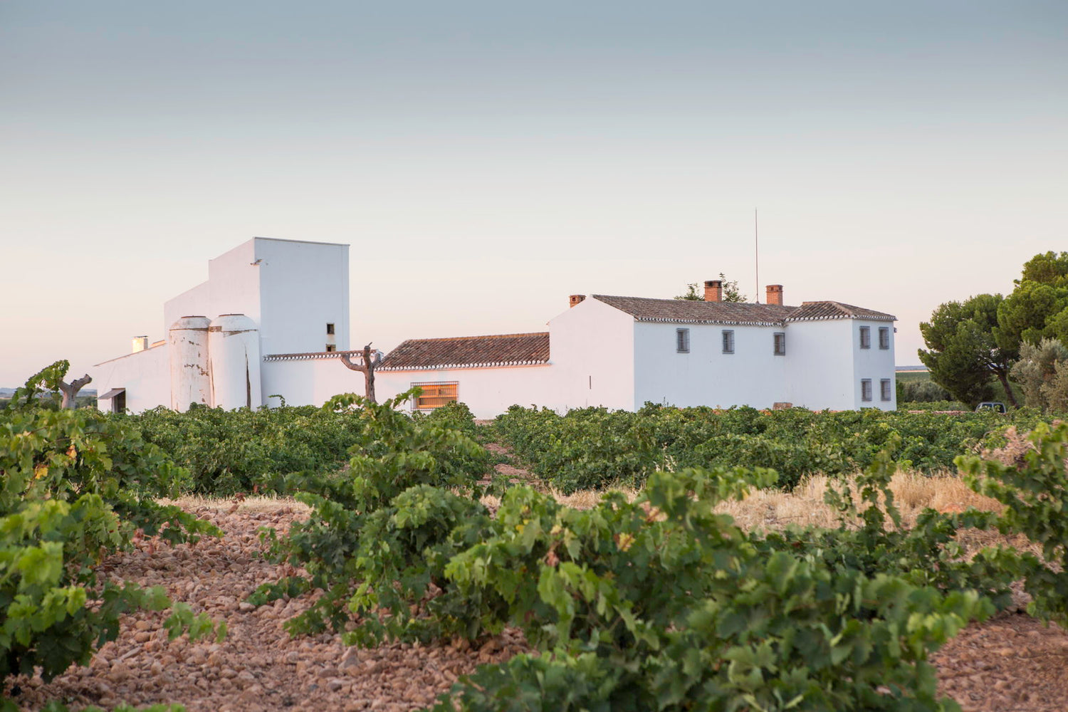 Bodegas Verum