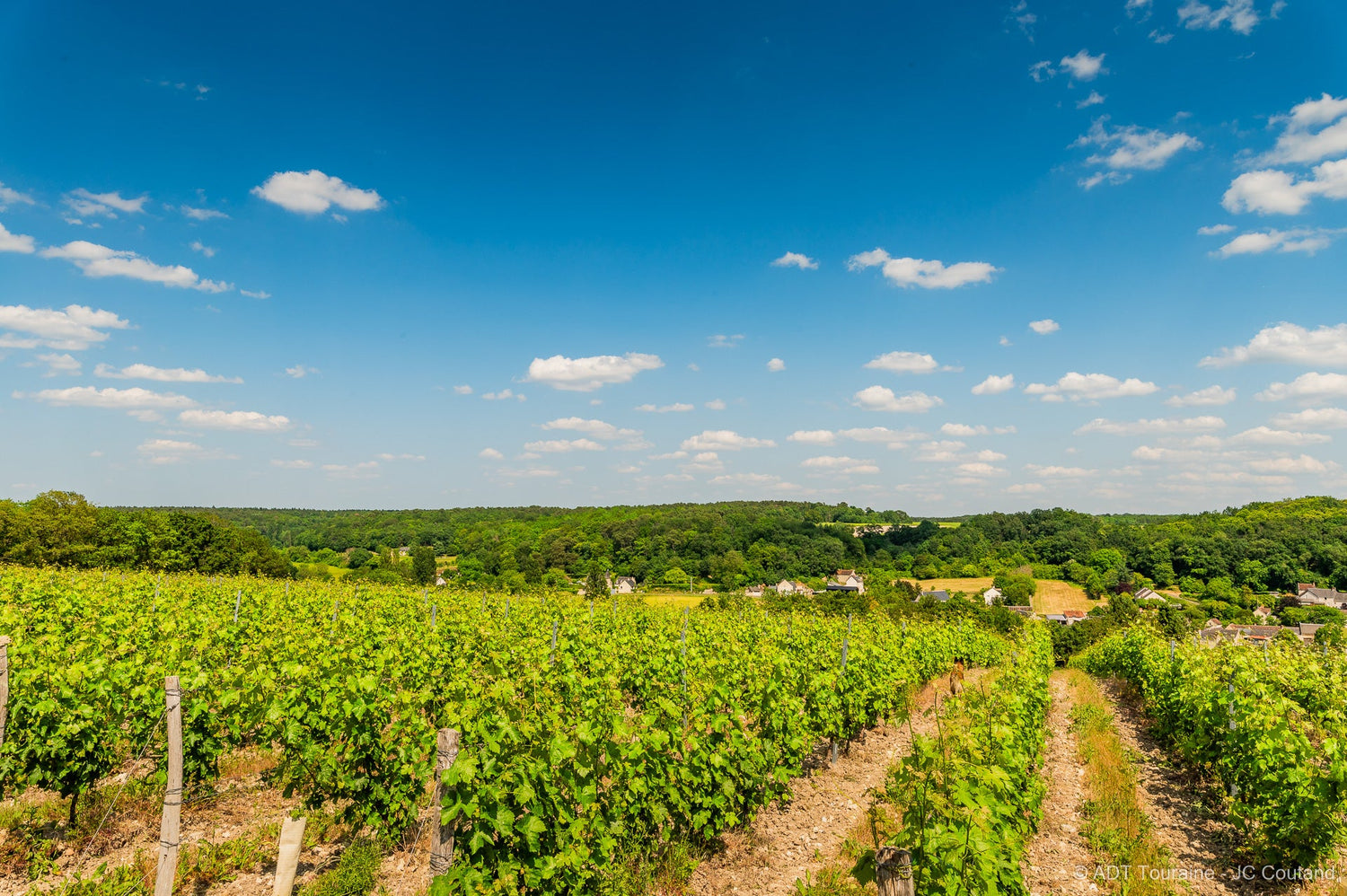 Domaine Beatrice & Pascal Lambert
