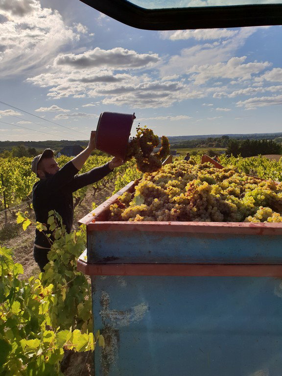 Domaine Cady