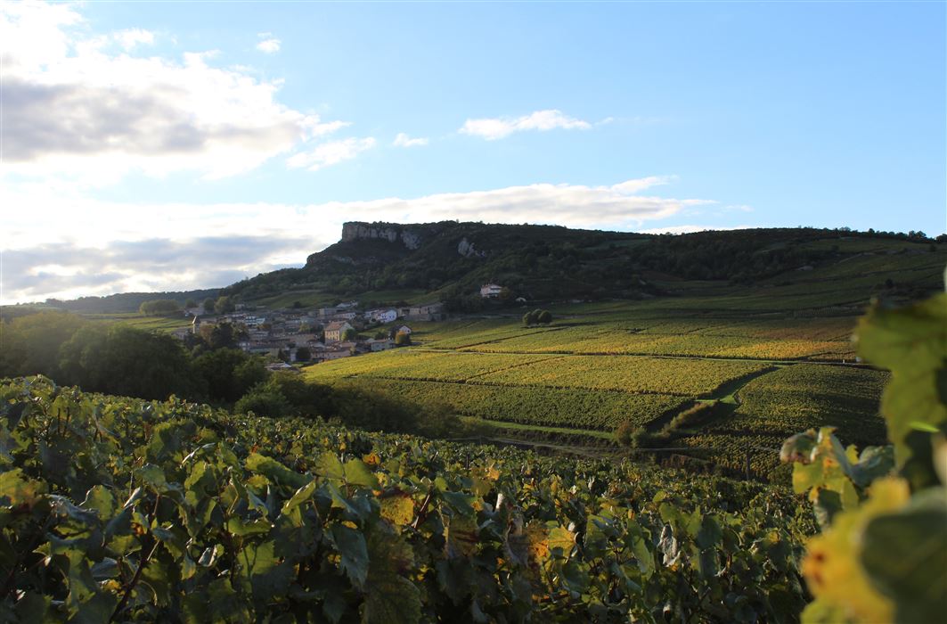 Domaine des Trois Dames