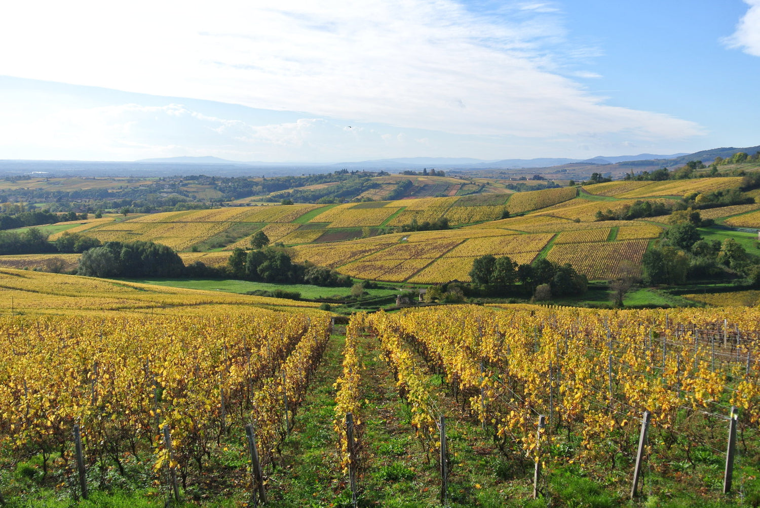 Domaine du Mont Epin