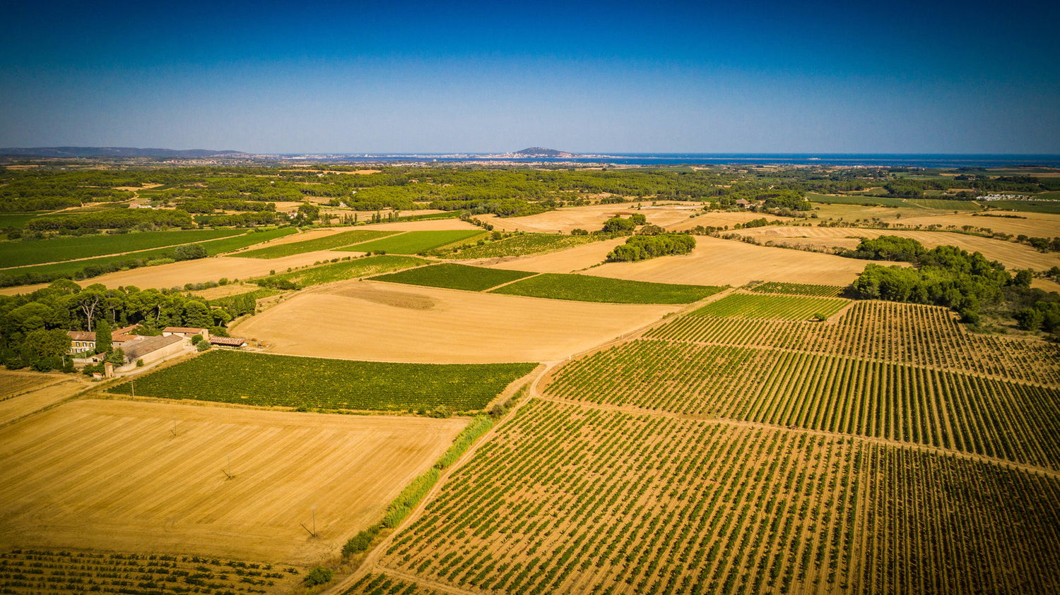 Domaine Saint Hilaire