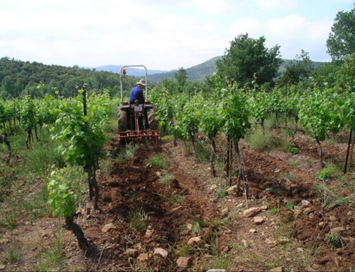 Domaine Trois Terres
