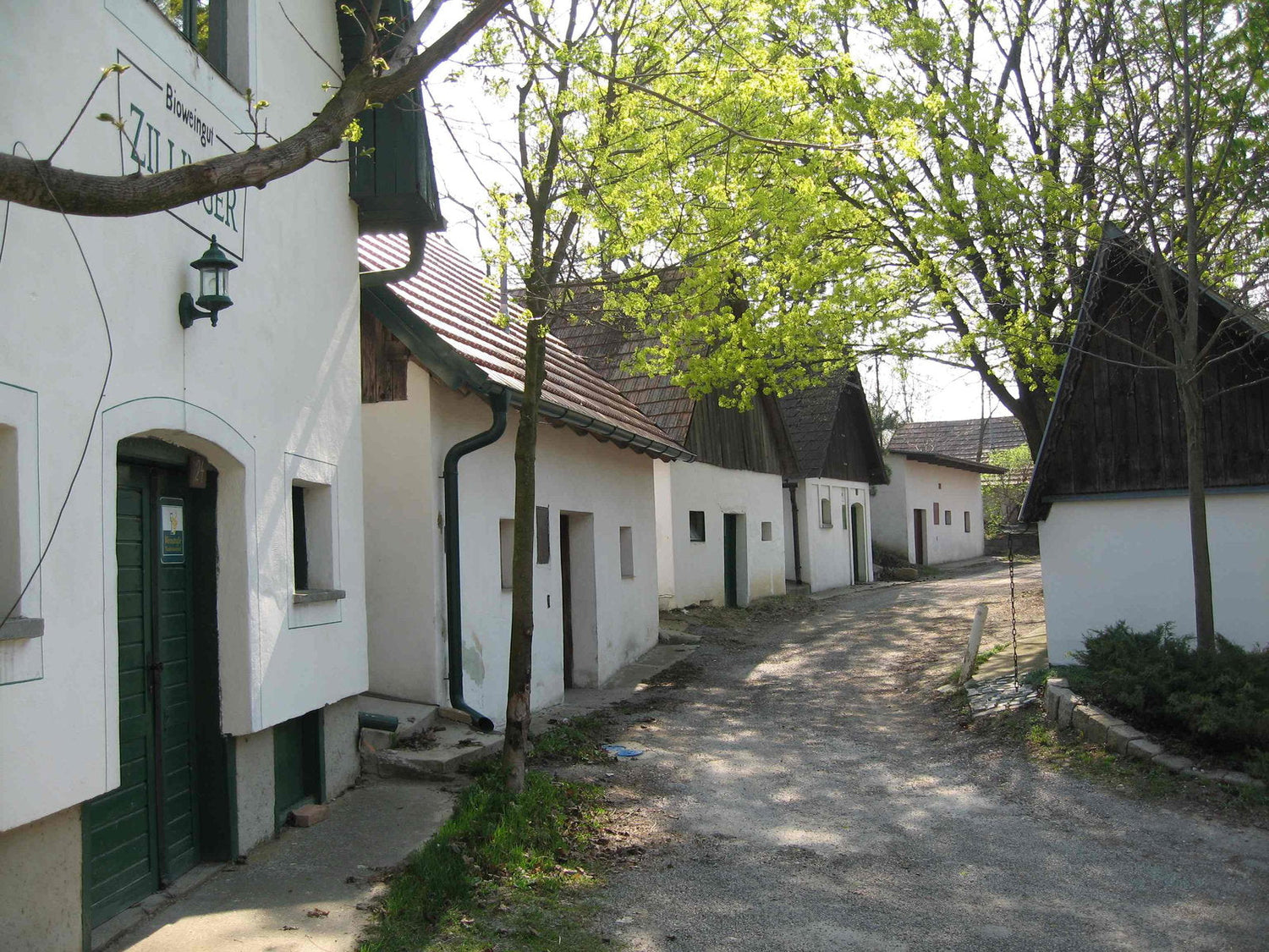 Johannes Zillinger