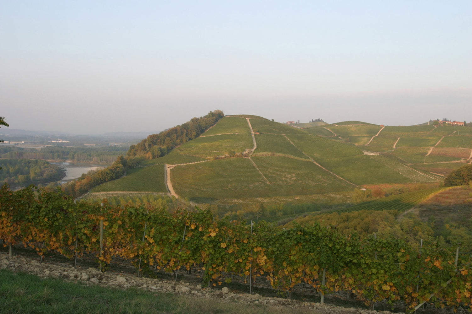 Produttori Del Barbaresco