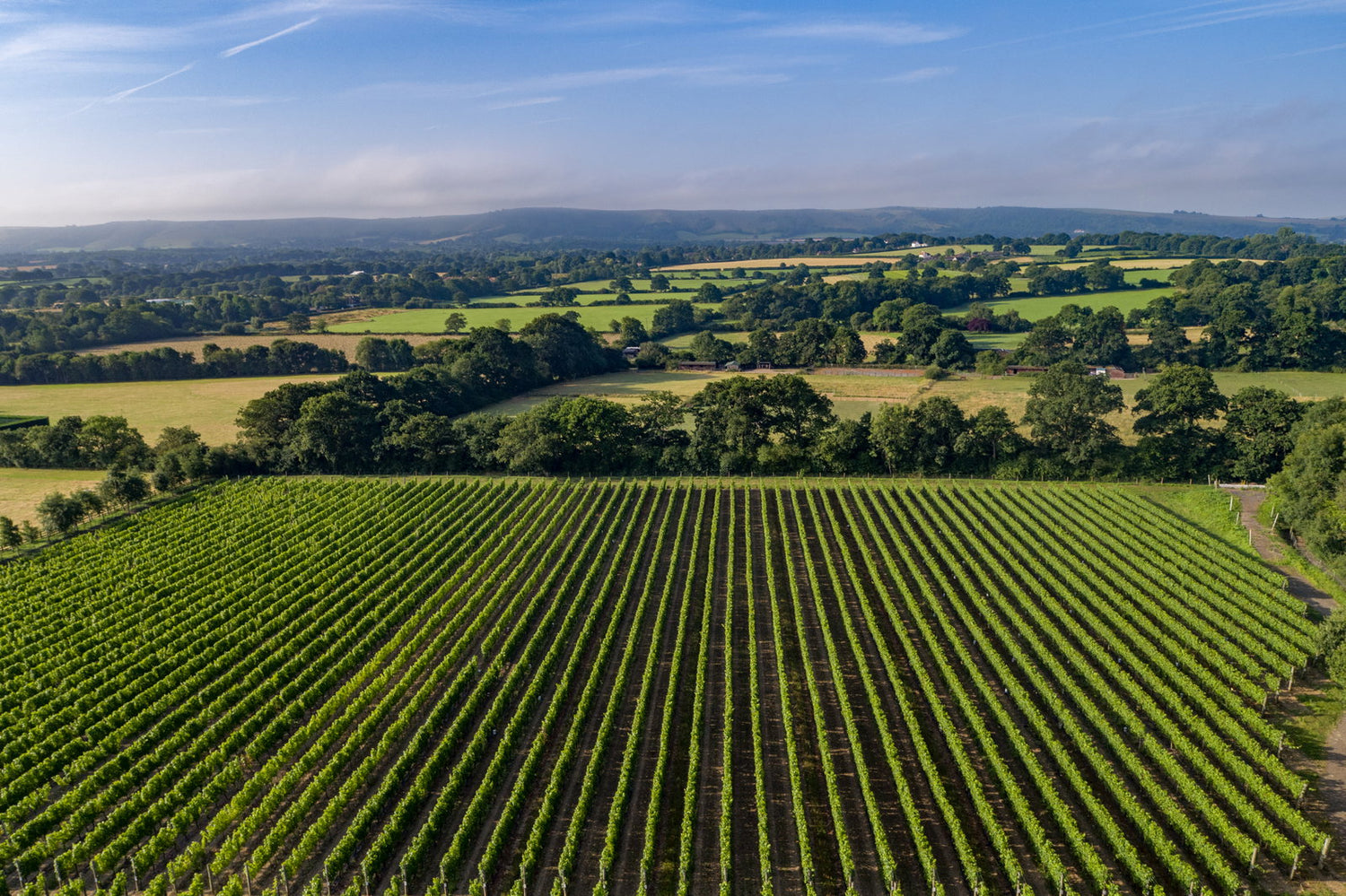 Ridgeview Wine Estate