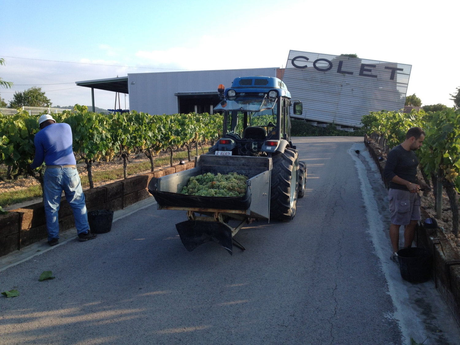 Sergi Colet