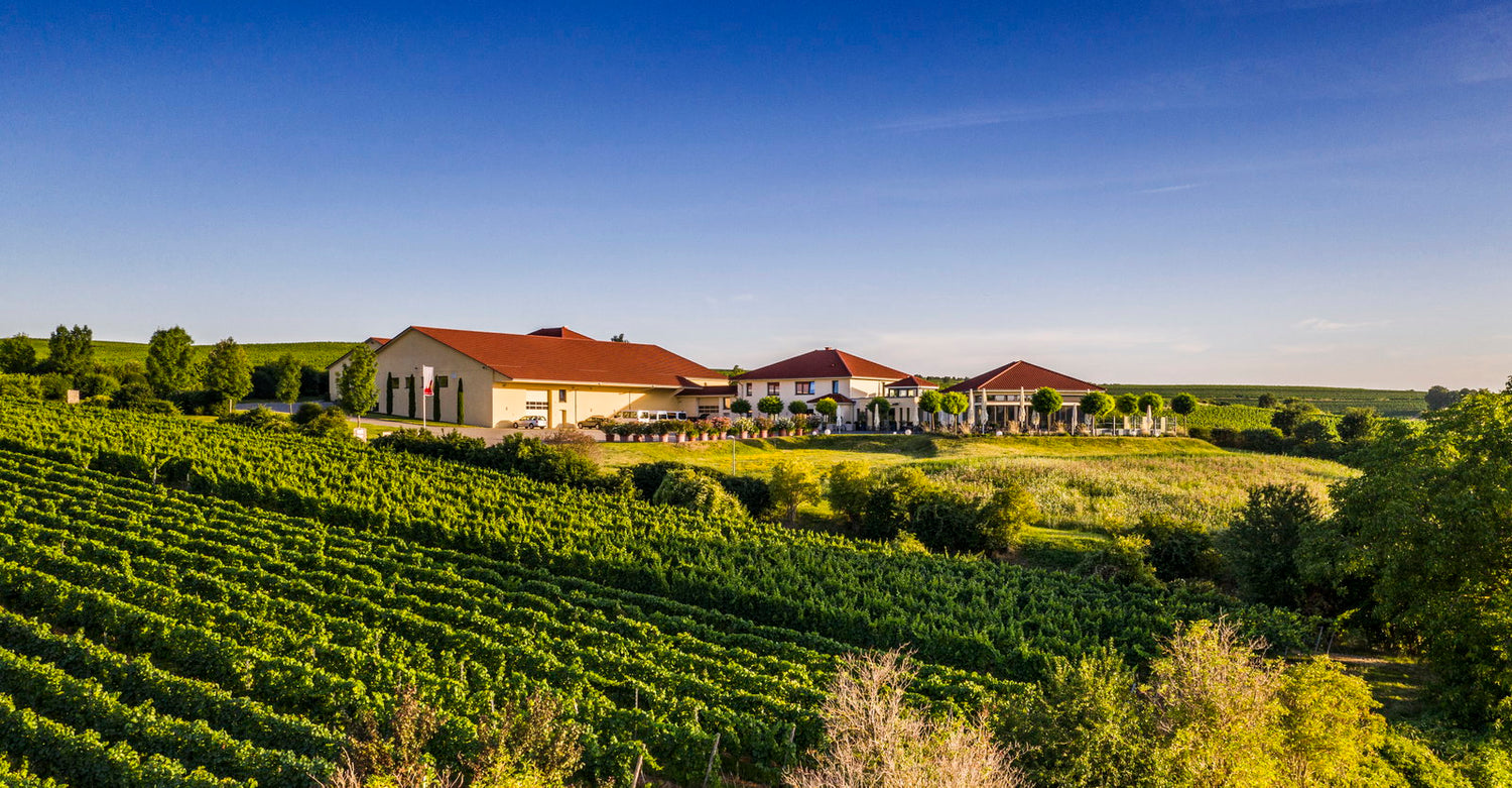 Weingut Raddeck