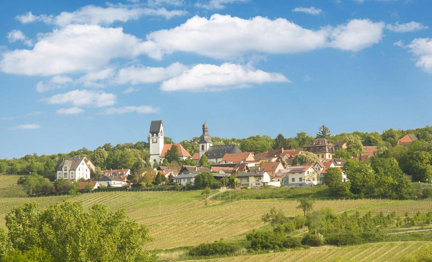 Zellertaler Keller